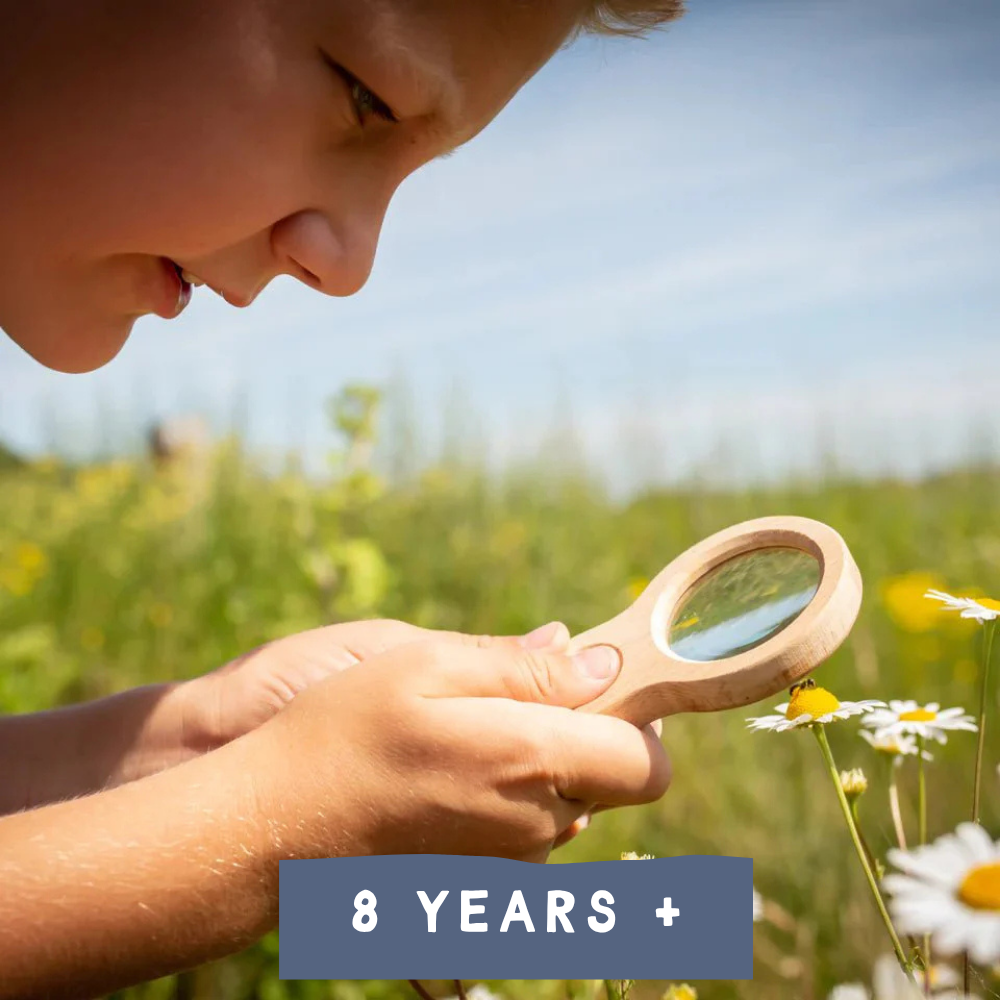 8 Years +