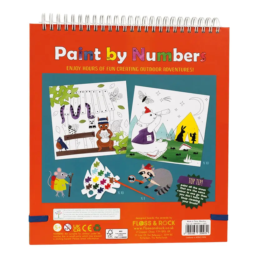 Floss and Rock Adventure Paint By Numbers