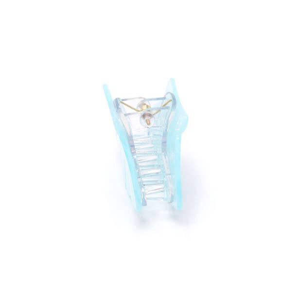 Pastel Pearlescent shell shaped clamp