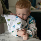 Ziggle Blues Washcloths in Brown and Cream
