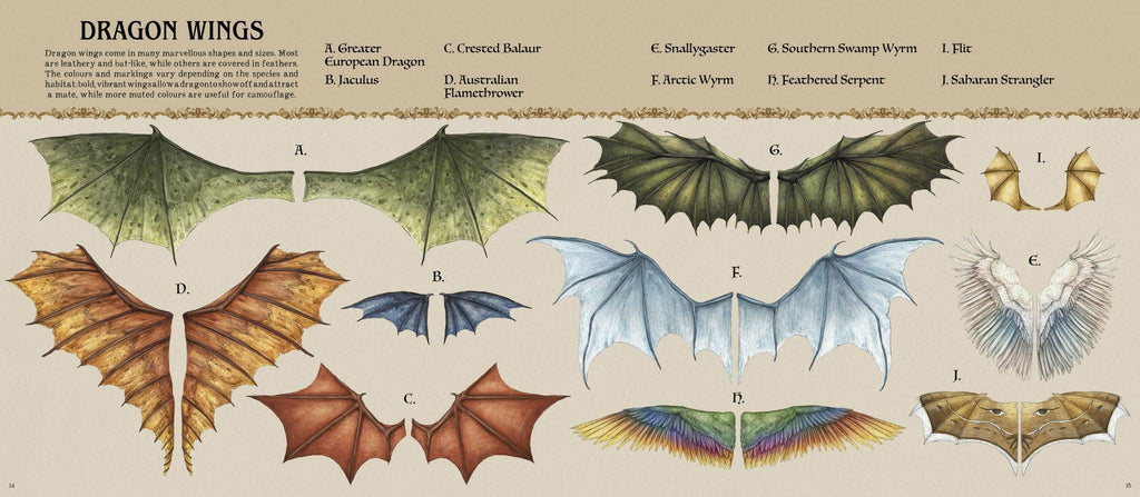 A Natural History of Dragons book