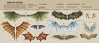 A Natural History of Dragons book