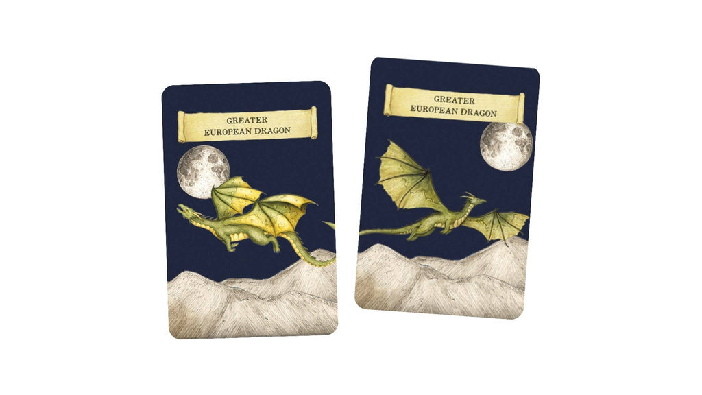 Discover the Dragons