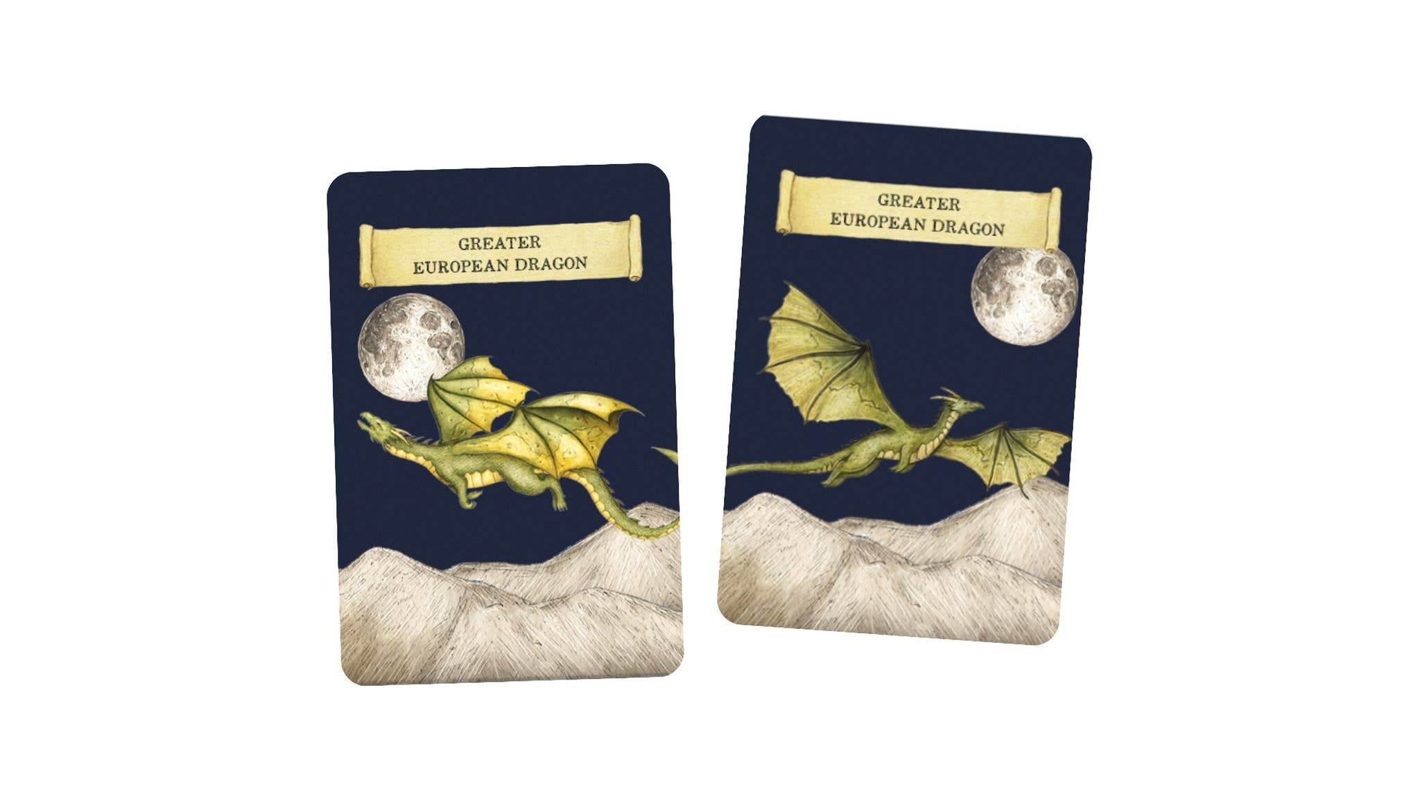 Discover the Dragons