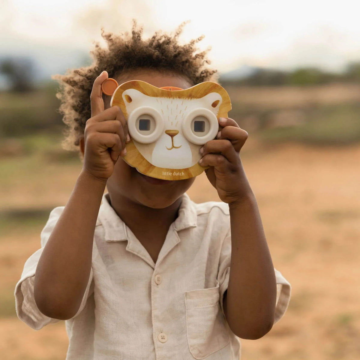 Little Dutch, Story Viewer, Lion