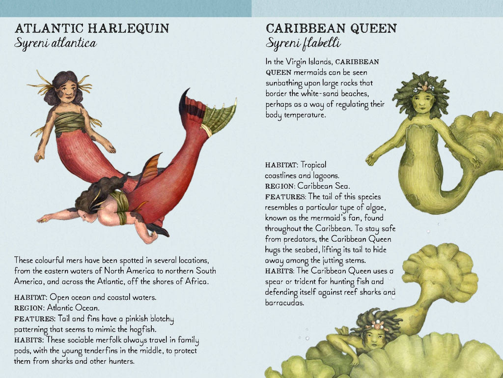 Match the Mermaids
