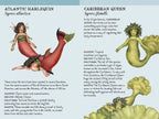 Match the Mermaids