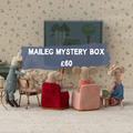 Maileg Mystery Box £60