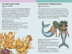 Match the Mermaids