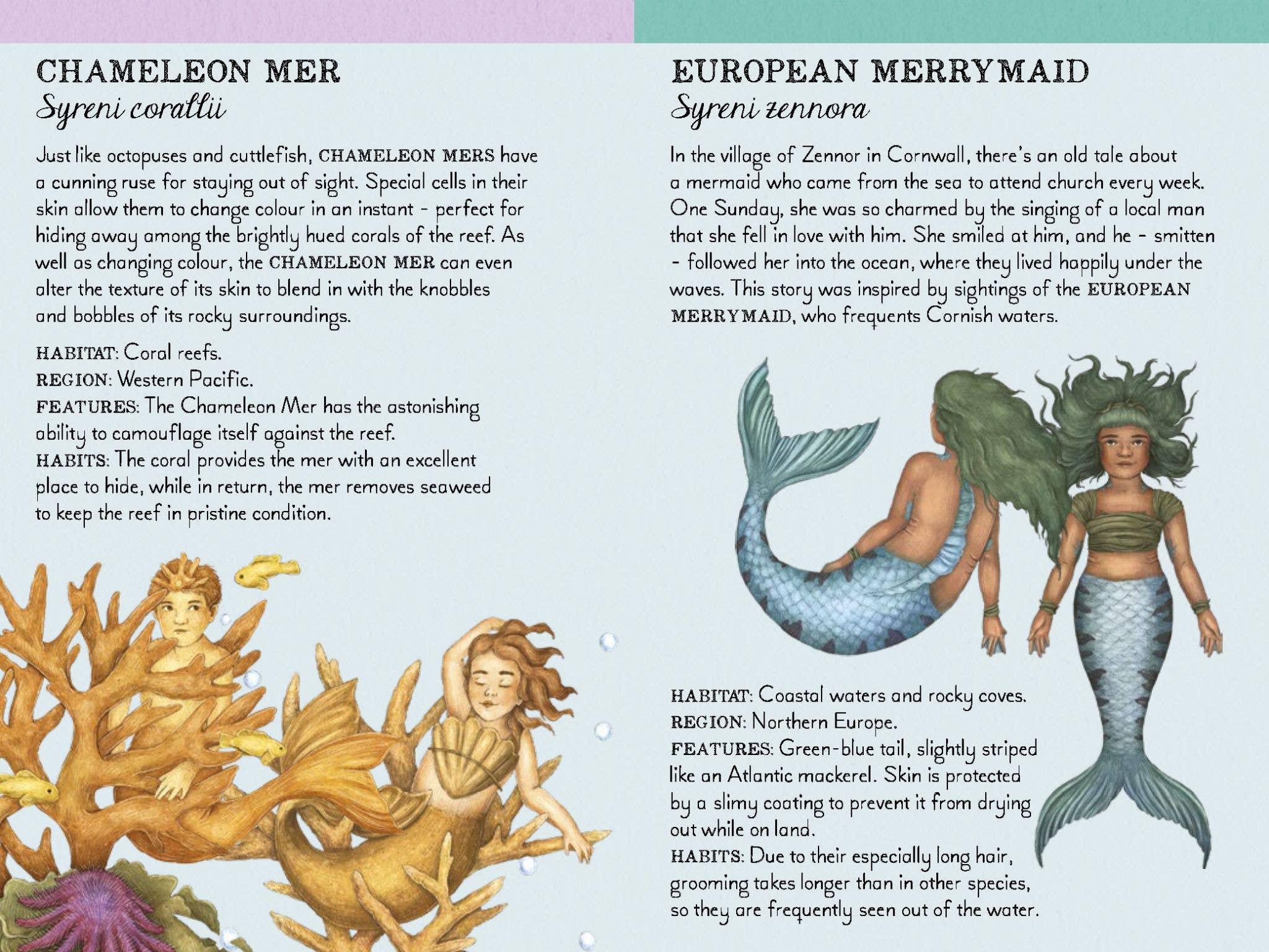 Match the Mermaids