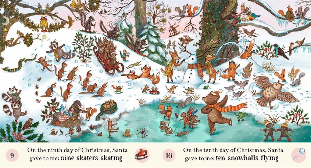 Magic Cat Christmas 12 days of Christmas