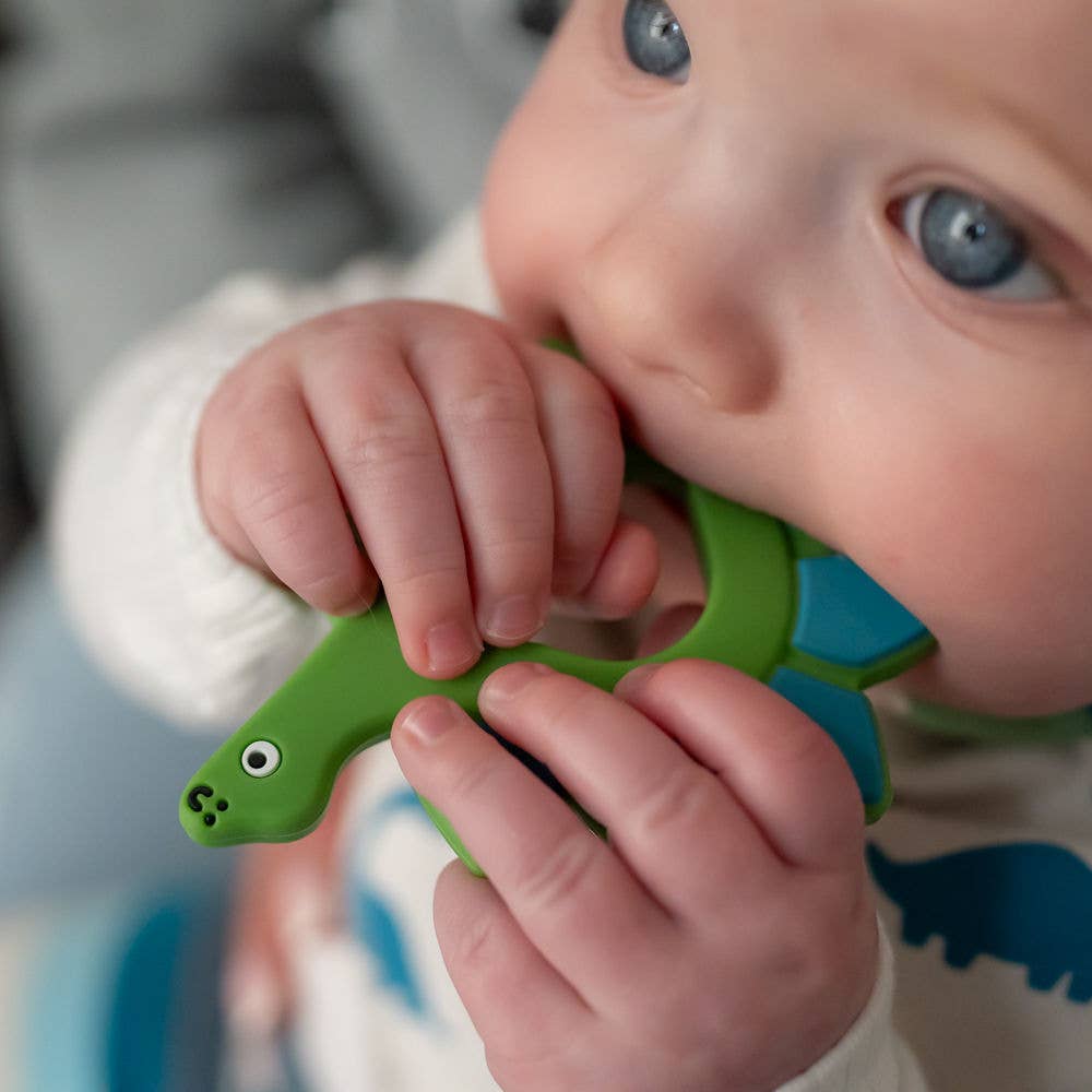 Ziggle Dinosaur Teether Silicone
