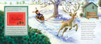 Walker Books, Dear Father Christmas, Have You Lost a Reindeer?
