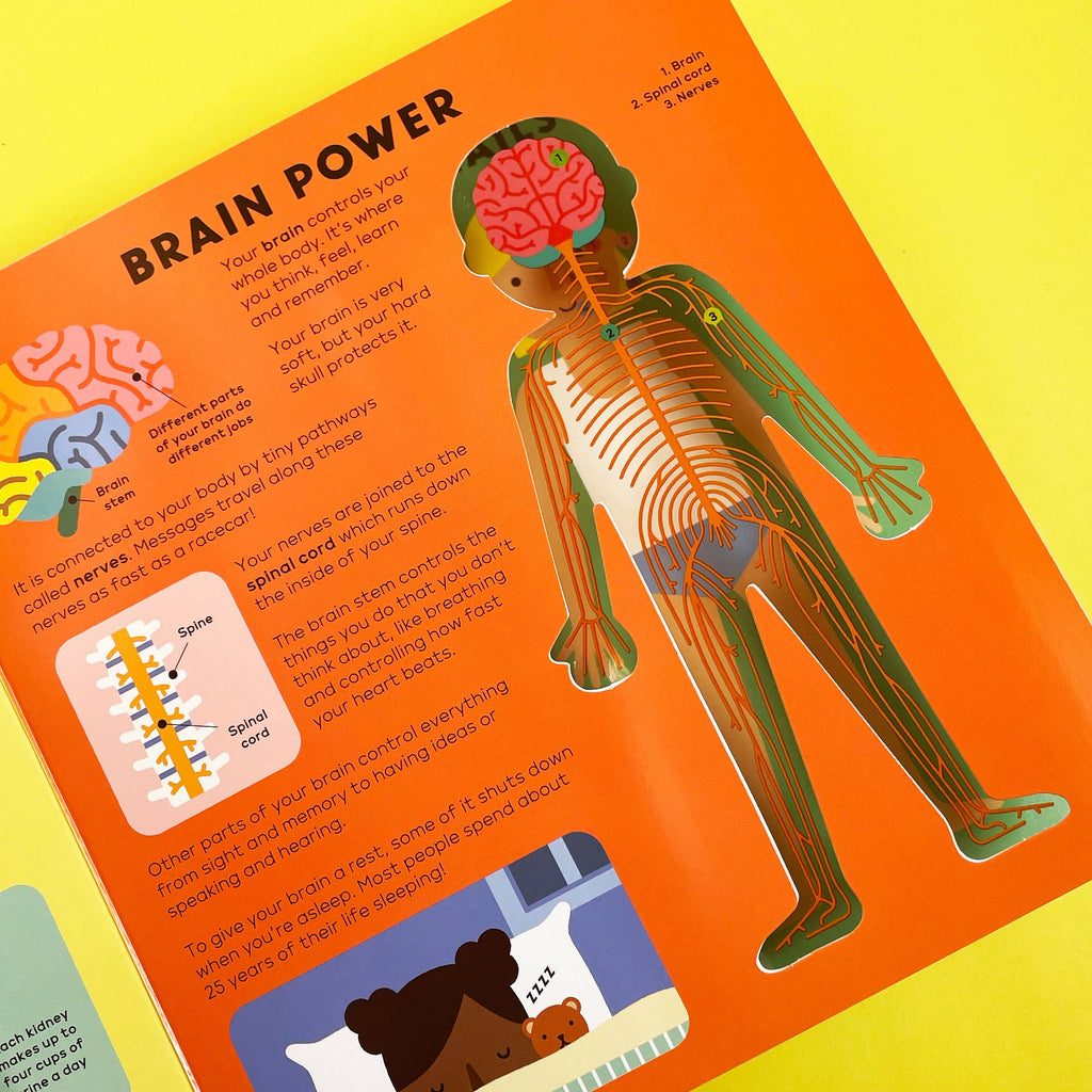 The Body Book