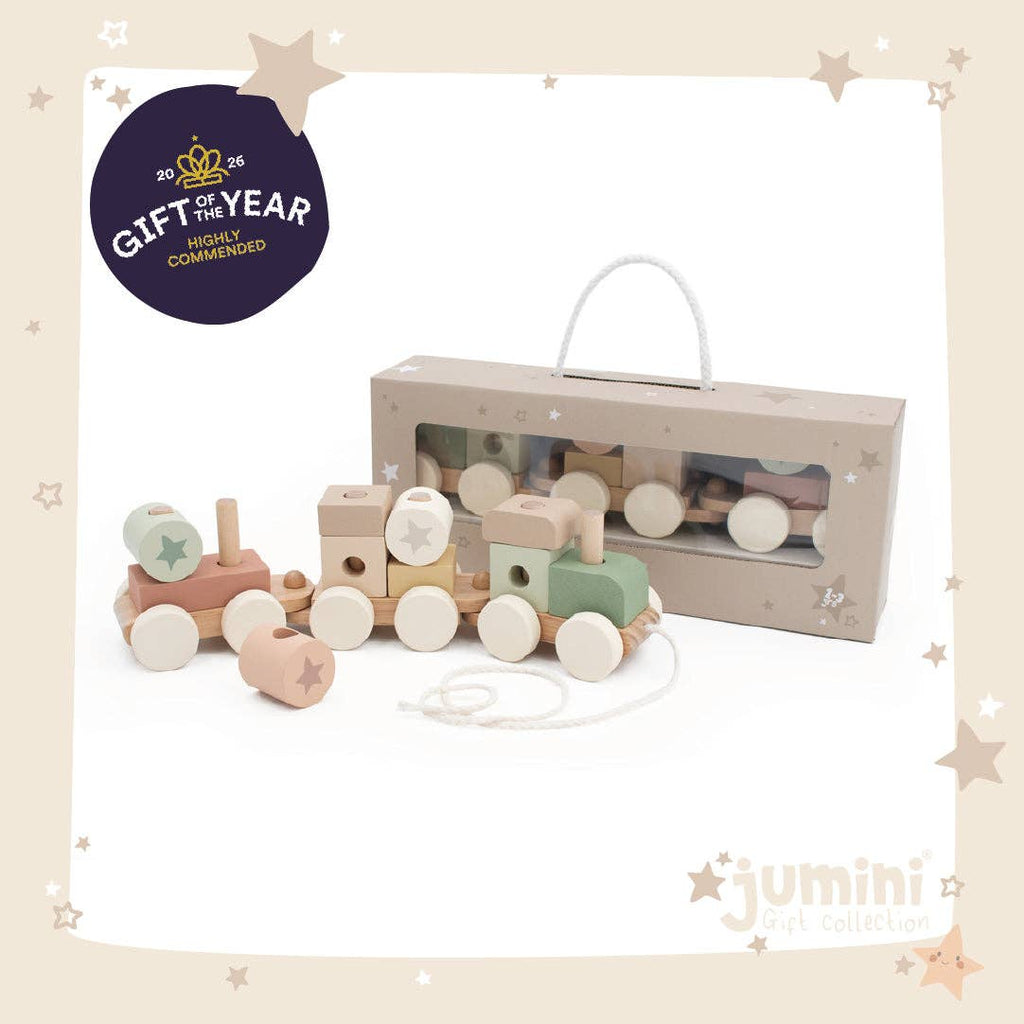 Stacking Train (Case of 3)