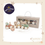 Stacking Train (Case of 3)