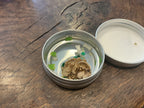 Dragon Dreams Putty Small