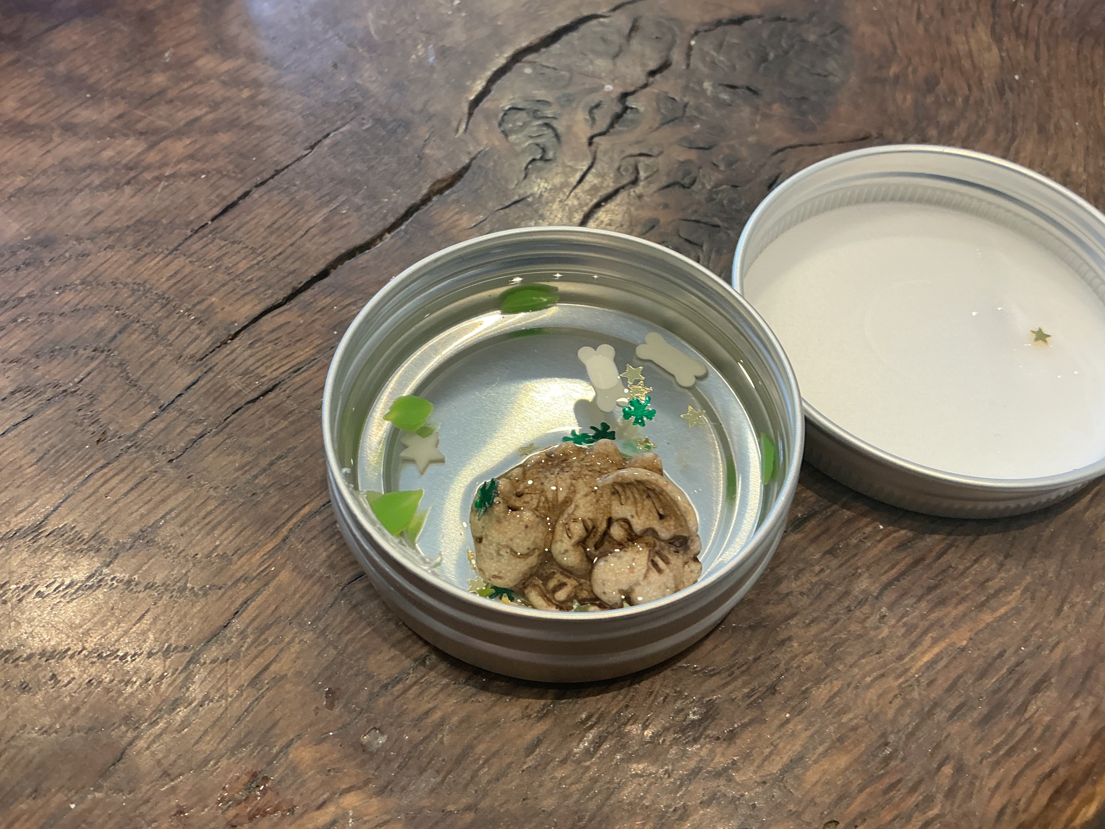 Dragon Dreams Putty Small