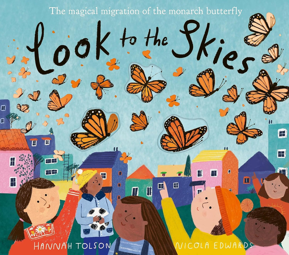 Look to the skies book