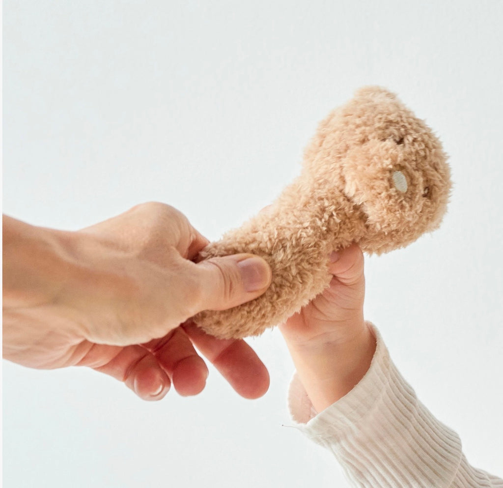 Nattou Teddy - Rattle Bear