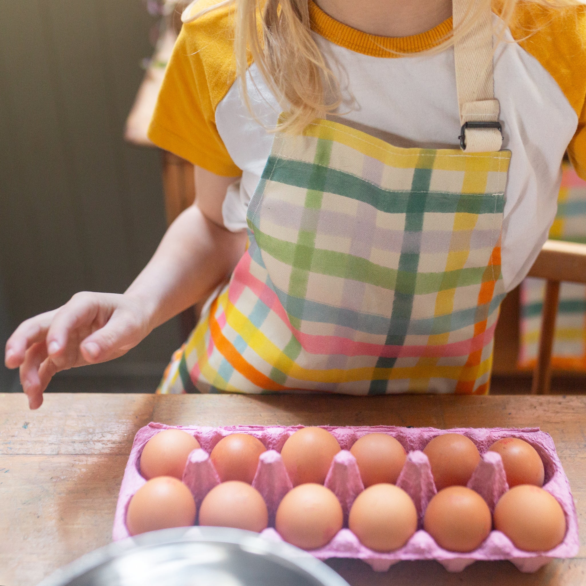Plewsy Child's Apron- Bright Check