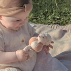 Baby Bello Henry the Hedgehog Rattle