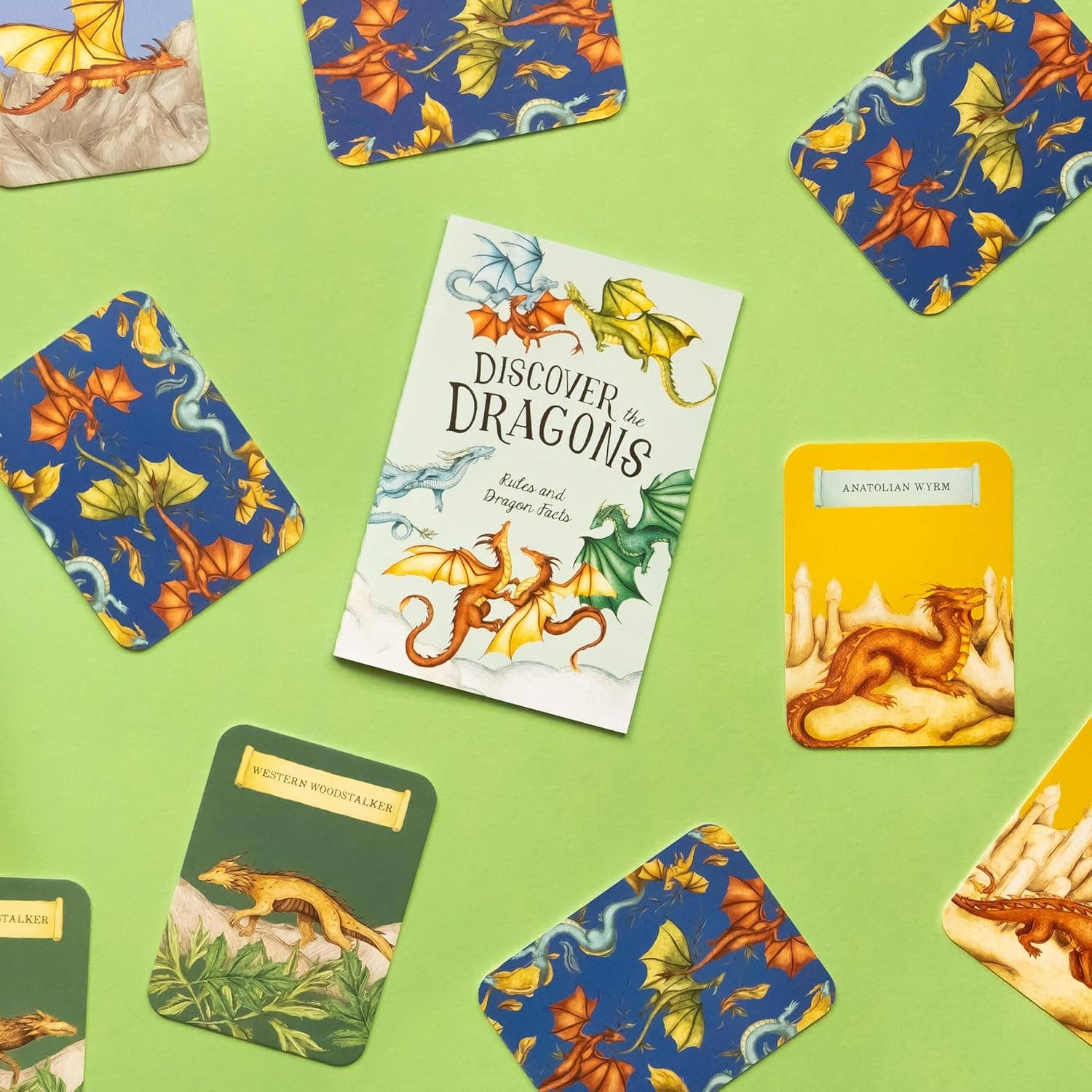 Discover the Dragons